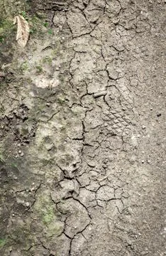 Dry soil closeup texture Foto stock