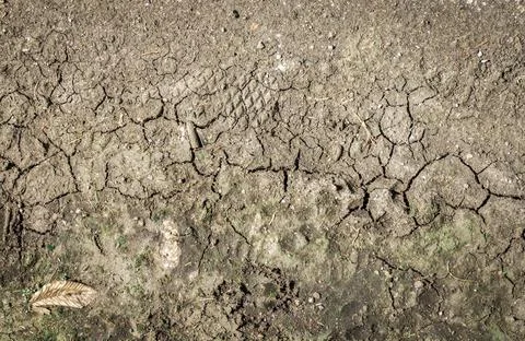 Dry soil closeup texture Stock Photos
