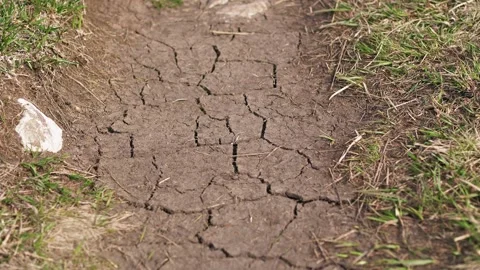 Dry soil cracked from the drought Stock Footage 276506994