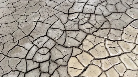 Dry Soil with Cracked Surface Stock Footage 305242517