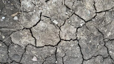 Dry soil with cracks in the area Stock Photos
