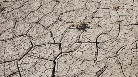 Dry soil with cracks through the mud in the desert Video stock 149632493