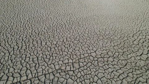 Dry soil with cracks through the mud in the desert during drought Video stock 188780081