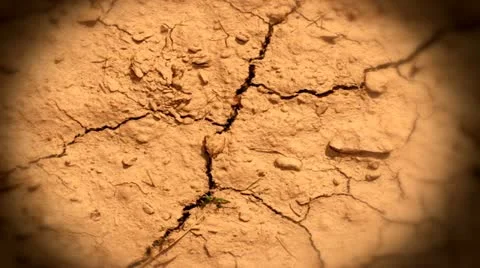Dry soil Stock Footage 11139243