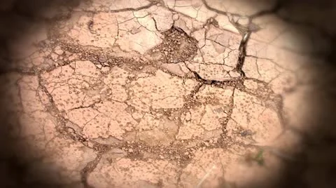 Dry soil Stock Footage 11139898