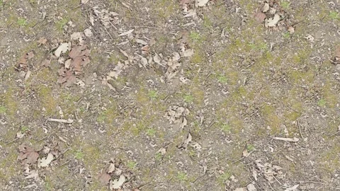 Dry Soil Ground Texture Top View Video stock 319884543