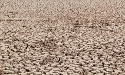 Dry soil Stock Photos