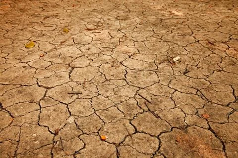 Dry soil Stock-Fotos