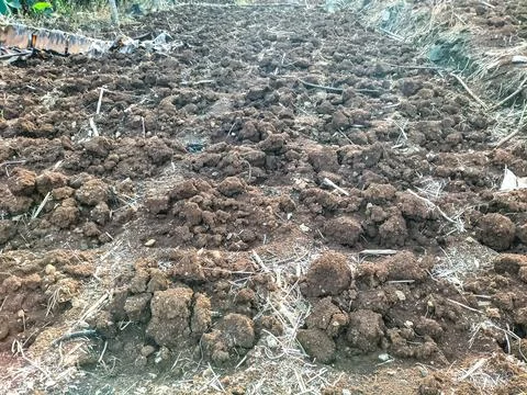 Dry soil Stock Photos