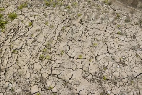 Dry soil shakes the soil with a layer of vegetation. Deficit moisture, dry ou Stock Photos