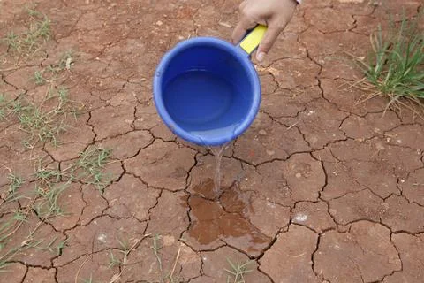 Dry soil is sprinkled with water using a scoop and a blue dipper Stock Photos