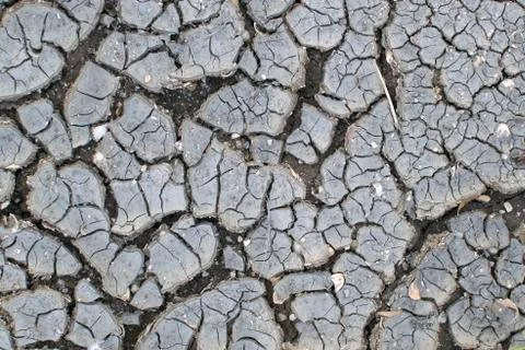 Dry soil texture background. Arid climate. surface detail, top view Stock Photos