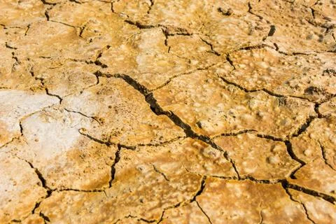 Dry soil texture background Foto stock