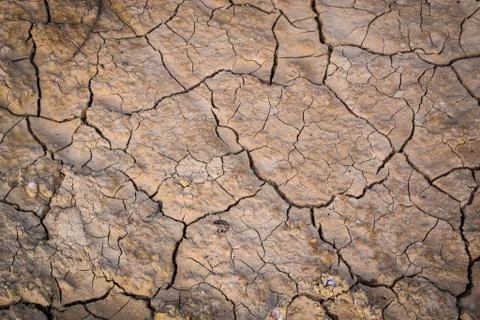 Dry soil texture background Stock Photos