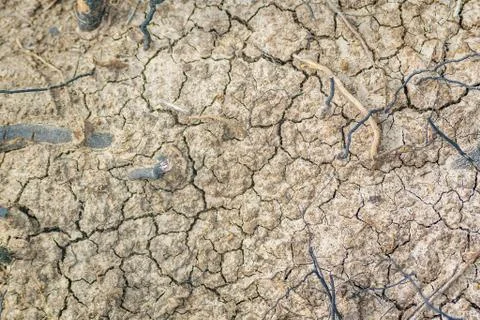 Dry Soil Texture Background Fotos de archivo