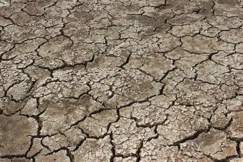 Dry soil texture background Stock Photos