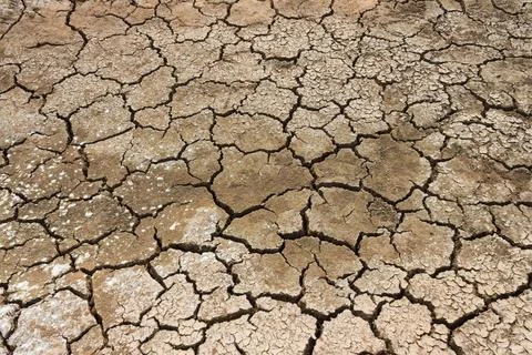 Dry soil texture background Stock Photos