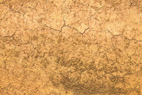 Dry soil texture background Stock Photos