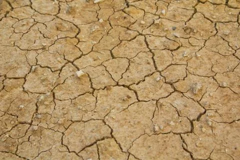 Dry soil texture on the ground Stock-Fotos