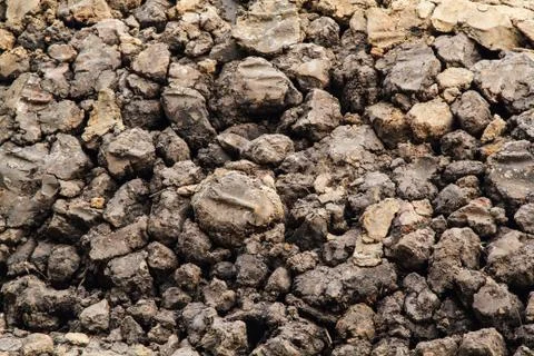 Dry soil texture Foto stock