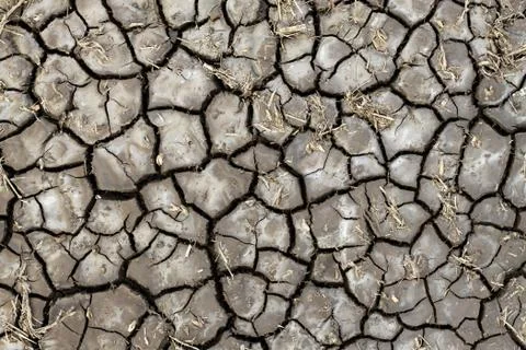 Dry soil texture Stock Photos