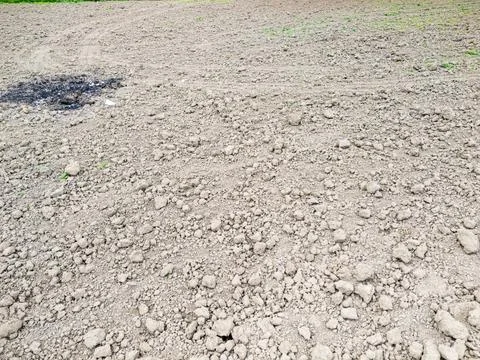 Dry soil texture with scattered rocks and patches of green grass, ideal for 写真素材