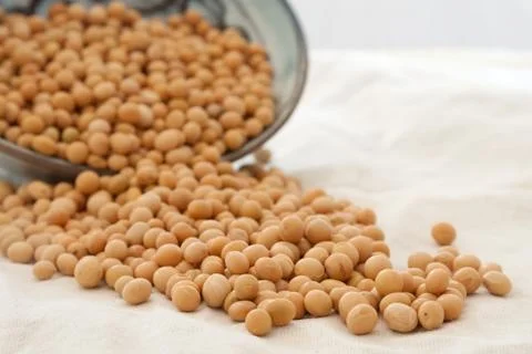Dry soybeans Foto stock
