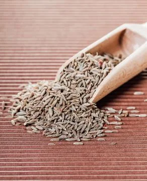 Dry spices cumin Stock Photos