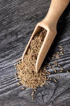 Dry spices cumin Stock-Fotos