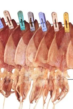 Dry squid Stock Photos
