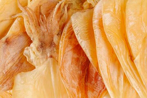 Dry squid Stock Photos