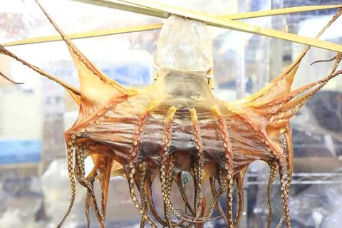 Dry squid Stock Photos