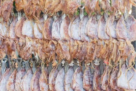 Dry squid in row Foto stock