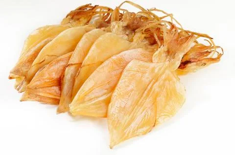 Dry squid on white background Stock Photos