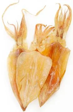 Dry squid on white background Stock Photos