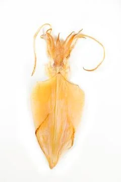 Dry squid on white Stock Photos