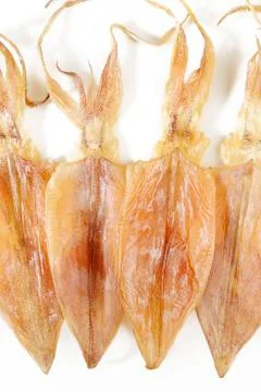 Dry squid on white Stock Photos