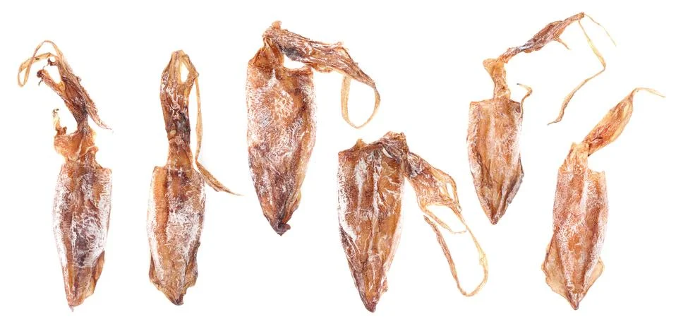 Dry squids Stock Photos