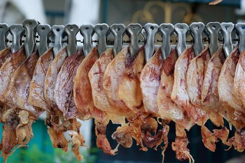 Dry squids in row. Stock Photos