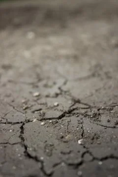 Dry сracked earth Stock Photos