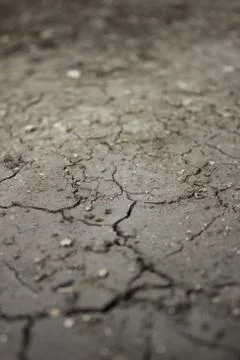 Dry сracked earth Stock Photos
