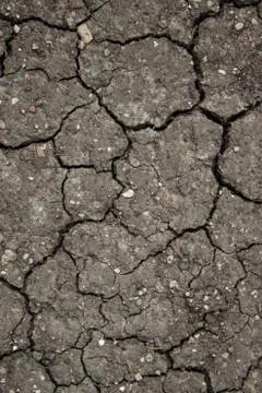Dry сracked earth Stock Photos