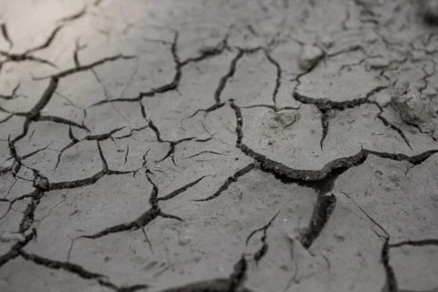 Dry сracked earth Stock Photos
