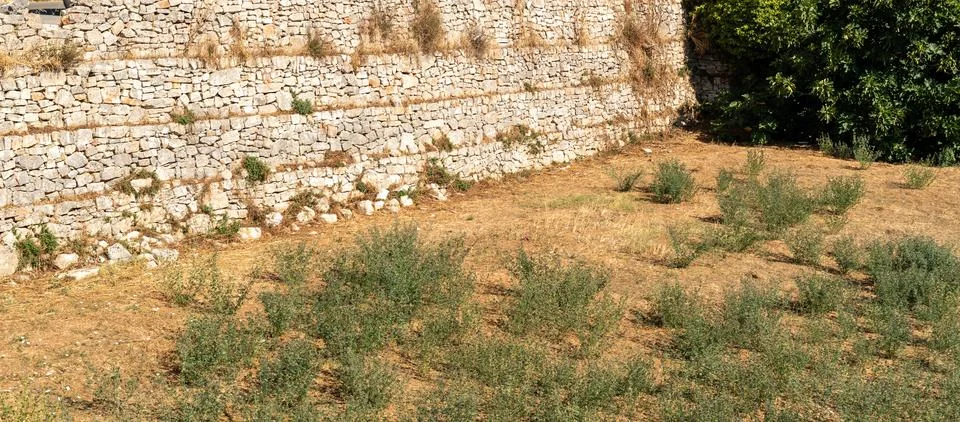 Dry stone wall built from irregular limestone blocks bordering a field of Stock Photos