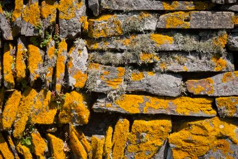 Dry stone wall Stock Photos