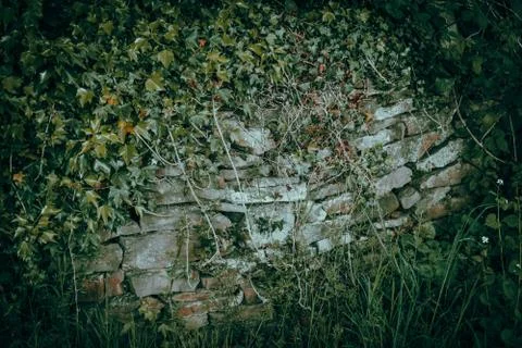 Dry Stone Wall Foto stock