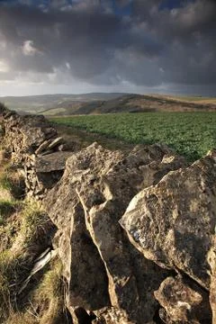 Dry stone wall view Foto stock