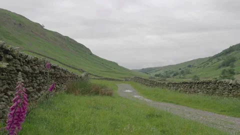Dry stone walls Stock Footage 312610232