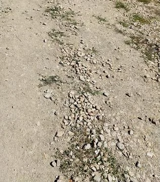 Dry stony dusty ground. rustic road texture. Foto stock