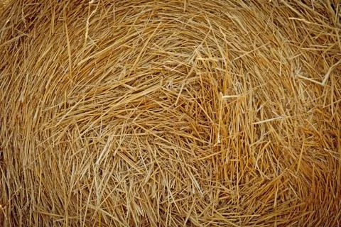 Dry straw. Background Stock Photos